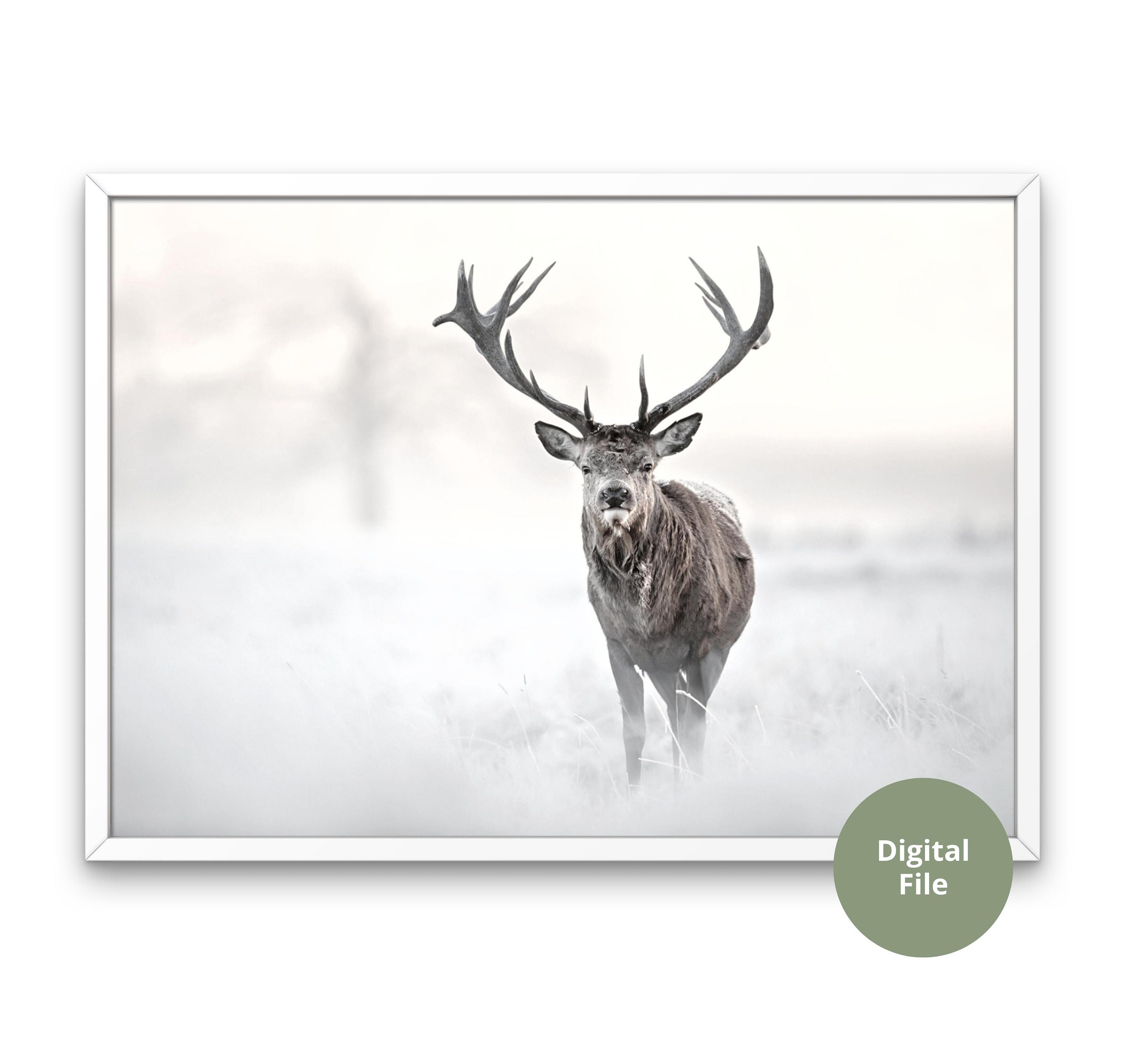 Winter Deer Wall Art Printable Christmas Art Printable Etsy