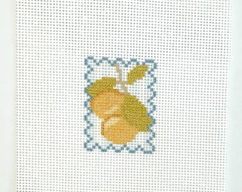 May include: A white needlepoint canvas featuring a centred rectangular design with a scalloped blue border. Inside the border is a cross-stitched illustration of two yellow-orange fruits with green leaves and stems on a white background.