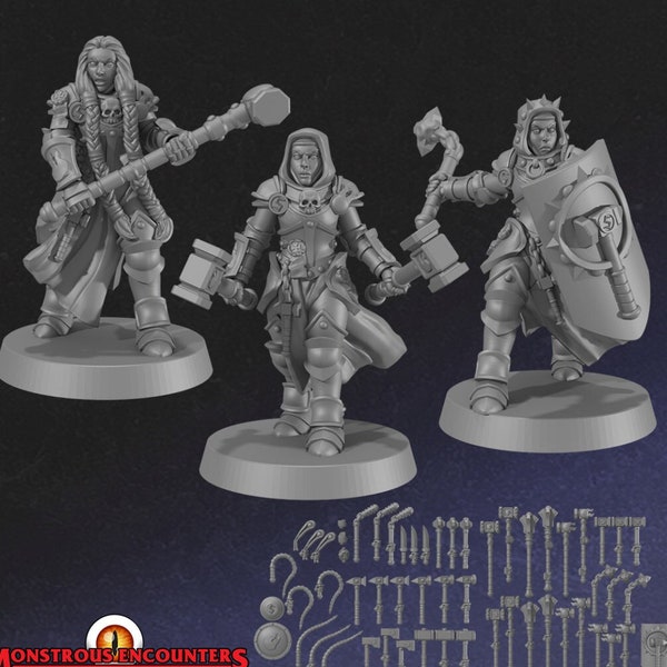 Sigma Battle Sisters Big Pack (15 miniatures w modular hands) - Monstrous Encounters DnD Dungeons & Dragons Pathfinder Fantasy Maids Wargame