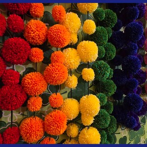 May include: A wall decorated with colorful pom-poms in a rainbow pattern. The pom-poms are made of yarn and are strung together on a string. The background is a green and white pattern.