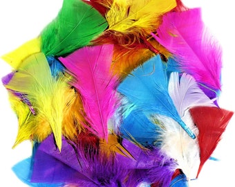 Fluffy Craft Feathers Assorted Coloured for Kids Collage Bright Mix Pack of 28g 