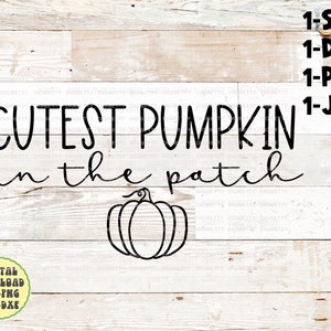 Cutest Pumpkin in the Patch Svg Png Jpg Dxf Fall Svg - Etsy