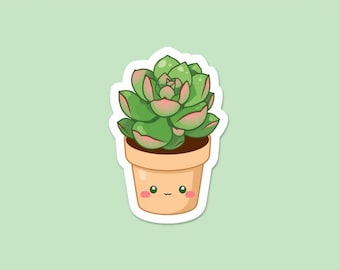 Succulent plant sticker