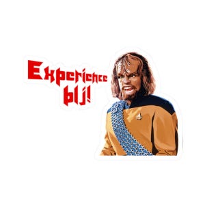 Experience bIj Kiss-Cut Stickers, Klingon Insult Design, Star Trek Fan Gift, Laptop Decal, Waterproof Sticker Pack, Funny Sci-Fi Quote