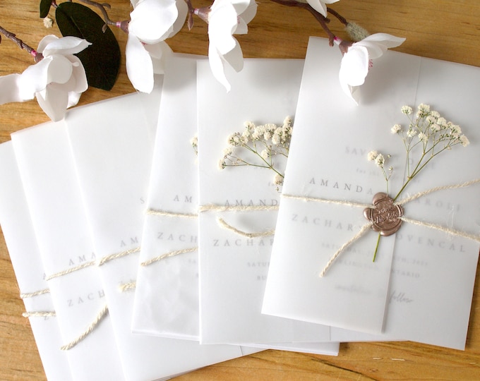 Vellum Jackets 10 Pack Clear Invitationwedding Etsy