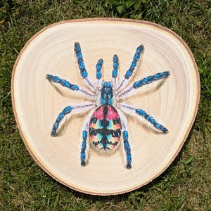 Brazilian Jewel Tarantula Painting: 10&quot; Wood Slice Acrylic Wall Art