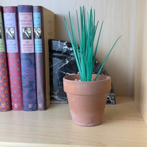 May include: A small terracotta pot with a green leafy plant inside. The pot is sitting on a wooden shelf with a set of books behind it.