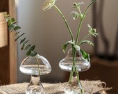 Mushroom Shaped Vase Mushroom Drinking Glass Cute Flower Pot Clear Glass Vase Cottagecore Terrarium Glass Container Hippy Indie Home Decor