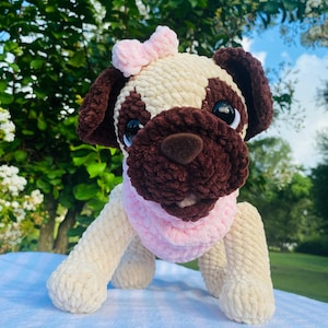 Pug Puppy