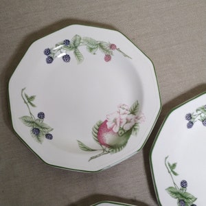 Set of 5 Churchill Victorian Orchard Deep Dinner plates
