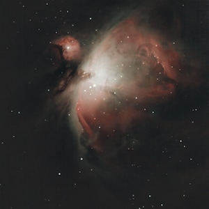 Orion