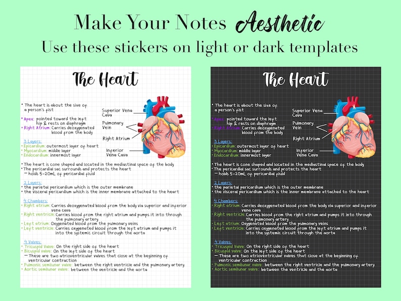 41 Anatomy Sticker Images PNG Anatomy Goodnotes Anatomy Onenote Sticker