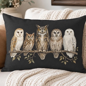 Watercolor Lumbar Pillow, Woodland Bird Decor, Barn Owl Snowy Rectangle Throw