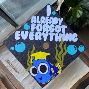 107 Nemo graduation topper, dory graduation cap, I already forgot everything graduation cap, fish grad cap, forgot everything grad topper afbeelding 1