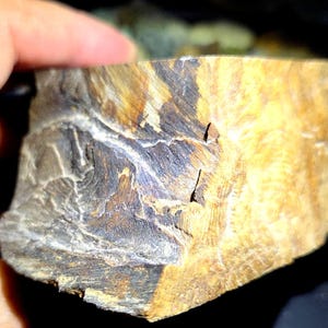 May include: A rough, rectangular slab of tiger's eye gemstone featuring a distinct color gradient. The surface displays a mix of golden-yellow, brown, and dark charcoal-gray bands with a fibrous, chatoyant texture and visible natural fissures.