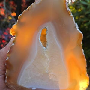 May include: A translucent agate slice featuring warm amber and orange hues with a central crystalline geode cavity. The stone displays natural concentric banding in shades of white and gold, with a rough, textured outer edge and light shining through.