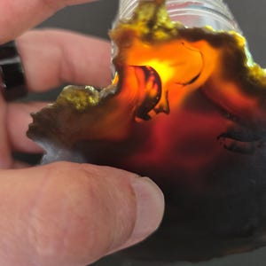 May include: A translucent agate slice featuring deep brown and black outer edges that transition into a vibrant, glowing amber and orange center. The stone displays natural banding and organic, irregular contours, allowing light to pass through.