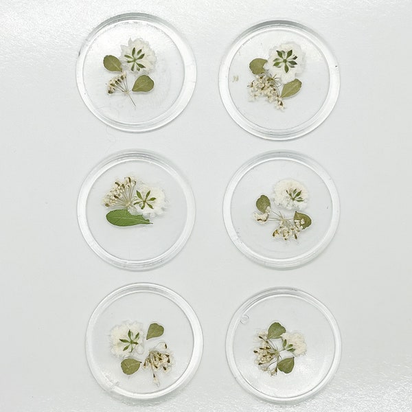 Meadow Muse Wax Seals - Self Adhesive - Set of 6 - Transparent, Green Leaves, Dried White Baby’s Breath Flowers  - Unique Stationery Gift