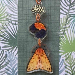 May include: An orange keychain with three clear acrylic charms. The charms feature a cluster of white dots, a dark blue and orange design, and a moth illustration. The keychain has an orange clasp and connecting rings. The text "Gaywolf Collections" is at the bottom.
