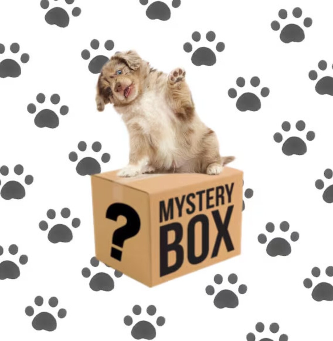 Pet Mystery Box READ DESC Etsy