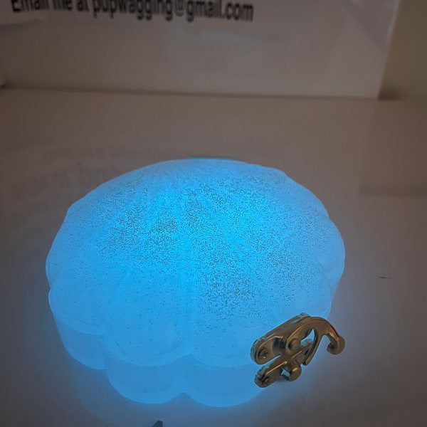 Seashell Jewelry Box Etsy