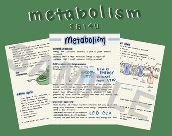 SBI4U — Metabolism