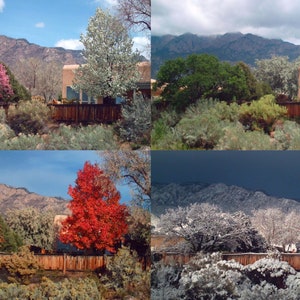 Beautiful Four Season Photos!