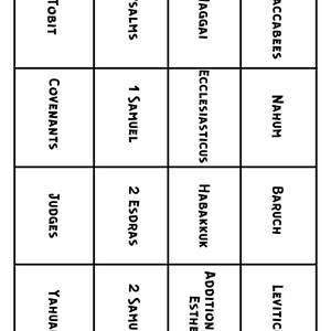 Bible Bingo Printable Sunday School Activity Homeschool Games Bible ...