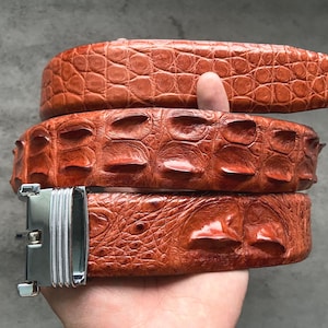 May include: A brown leather belt with a crocodile pattern. The belt has a silver buckle with a decorative design.