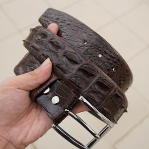 Puede incluir: Un cinturón de cuero marrón oscuro con textura de piel de cocodrilo. El cinturón tiene una hebilla plateada y dos remaches plateados. El cinturón está doblado sobre sí mismo.