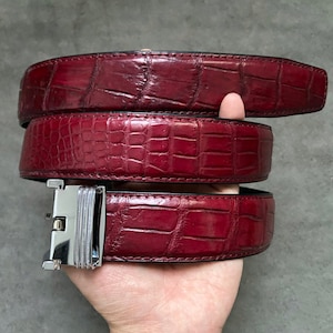 May include: A burgundy alligator leather belt with a silver buckle. The belt is folded in thirds and held in a hand.