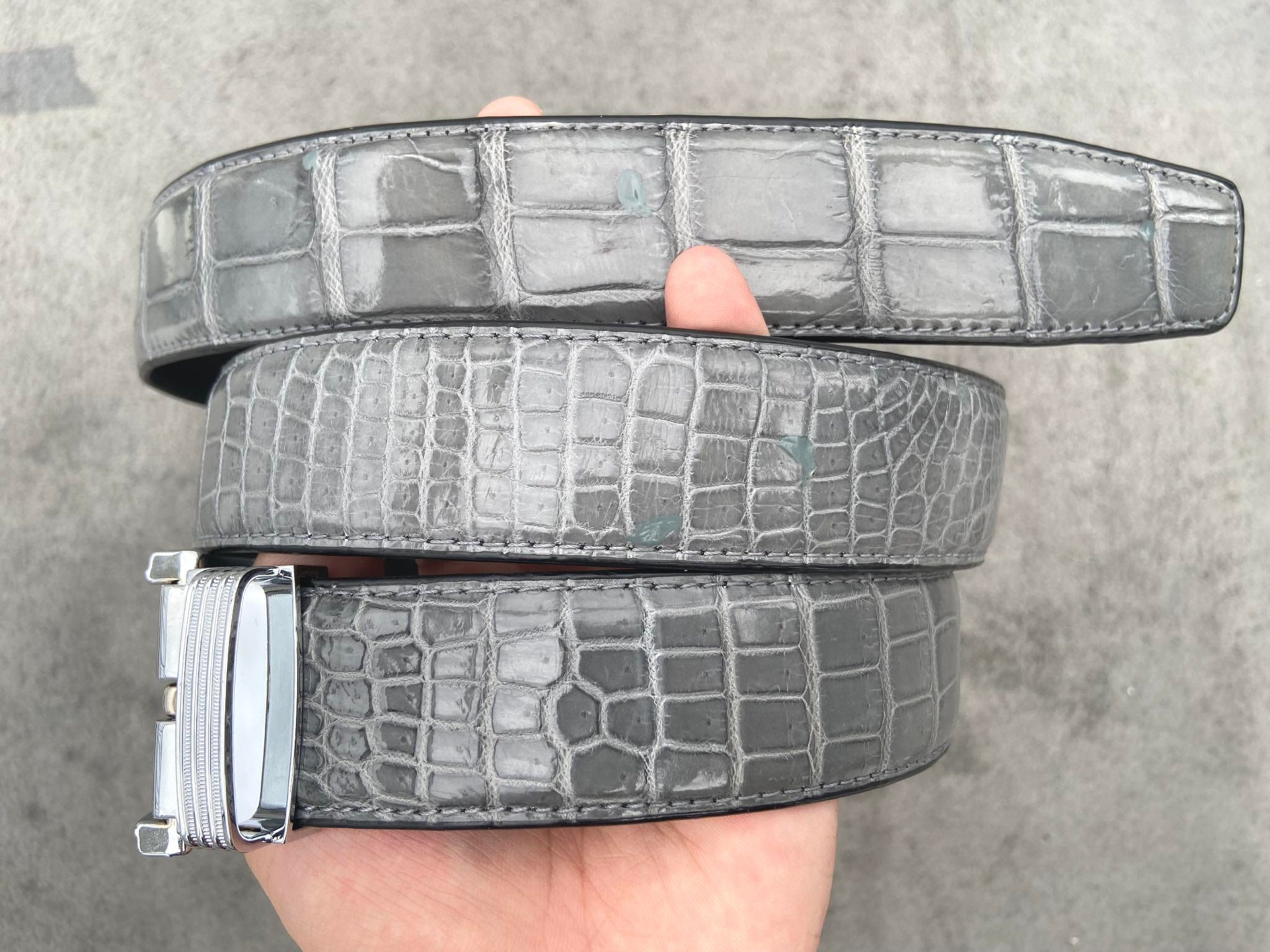 On sale! Light gray genuine crocodile belt! Saltwater Crocodile Belt – Gray | Jacob Hill Leather main image 3