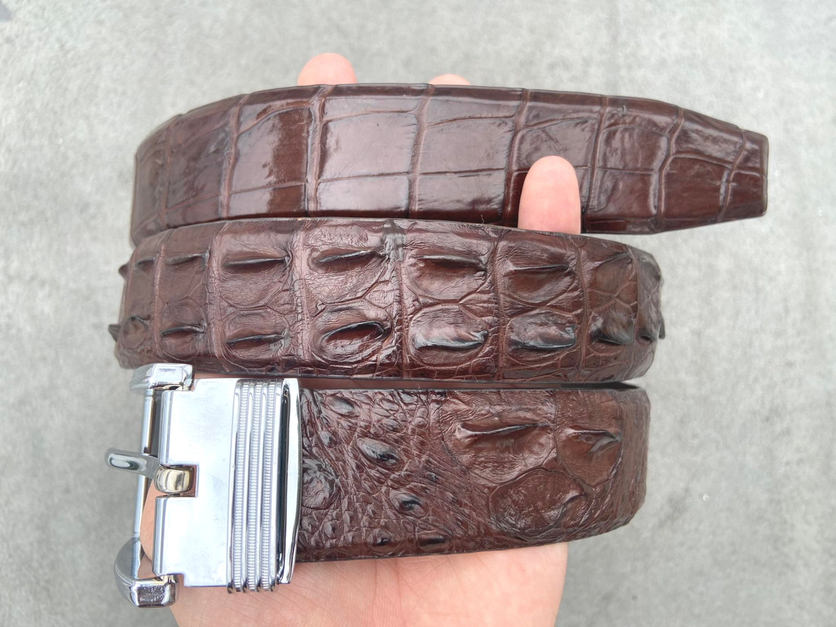 Brown Genuine Alligator Leather Skin Men's Belt W 1.3 Inch/premium