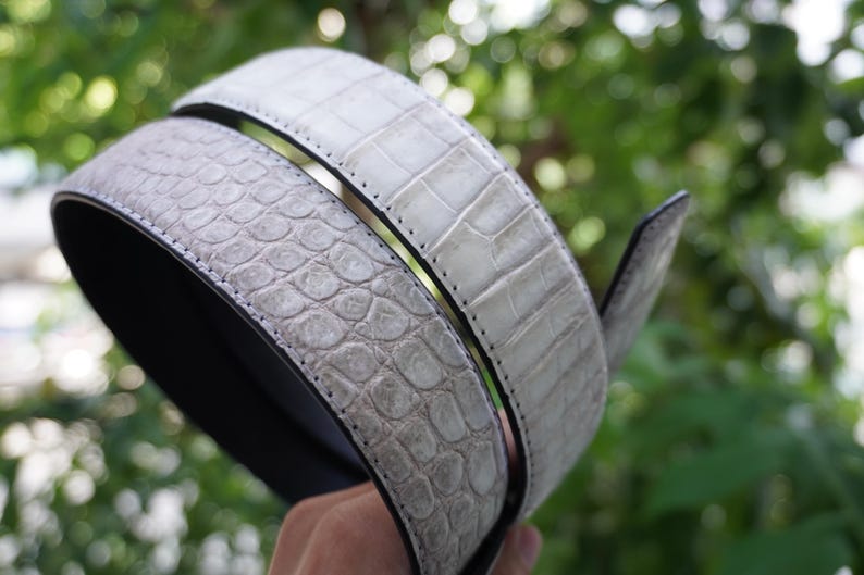 May include: A light gray belt with a textured, crocodile-like pattern. The belt is made of a light gray material with a black interior and a silver-colored buckle. The belt is curved, and the background is blurred green.