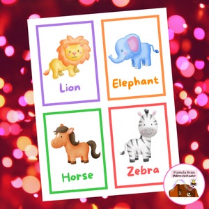 Animal Flashcards