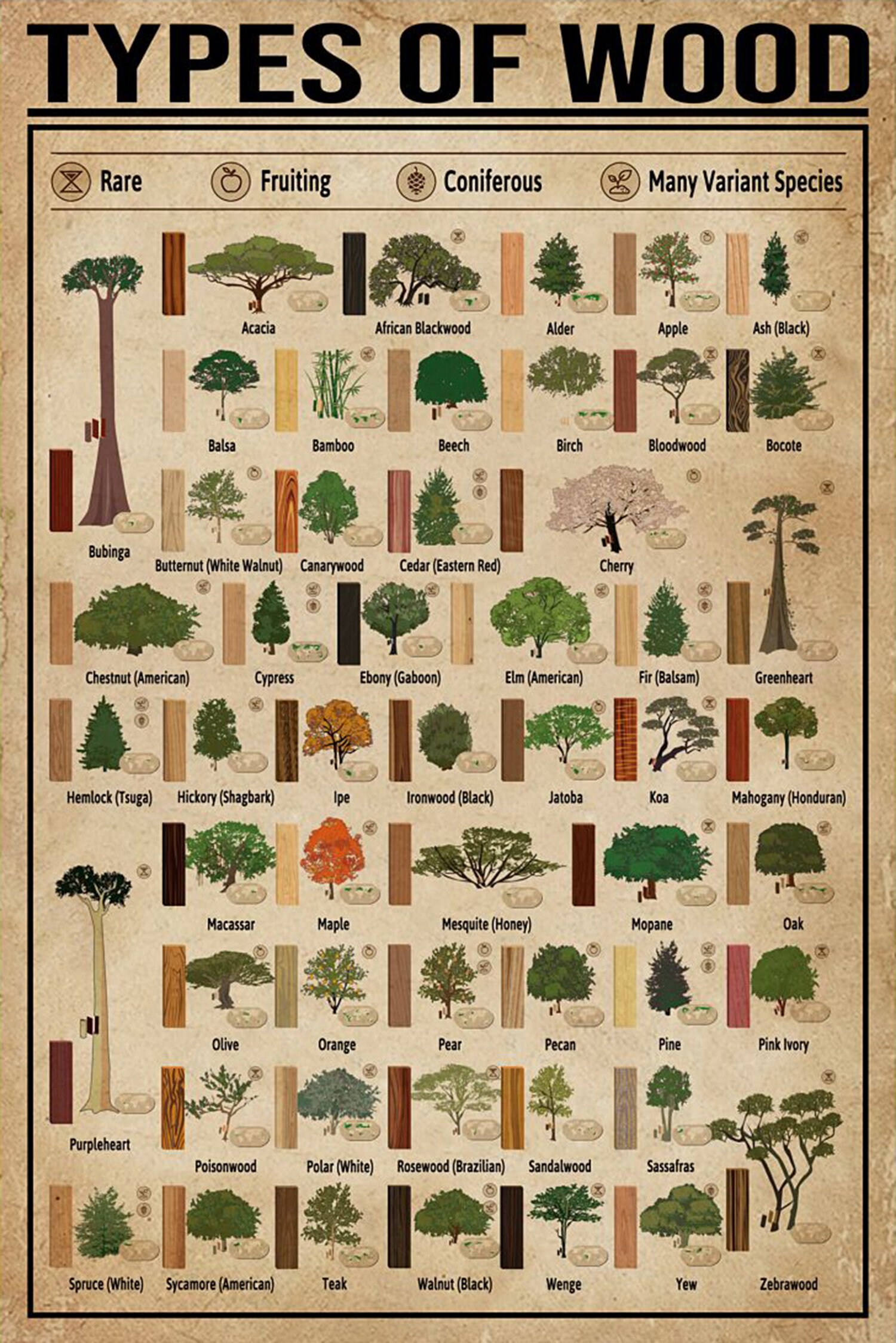 Types of Wood Carpentry Poster Vintage Poster Wood Poster Etsy