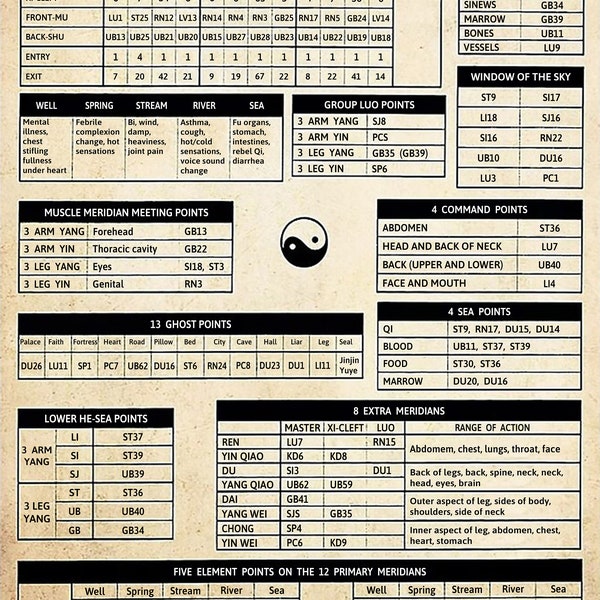 Meridian Points Poster Etsy
