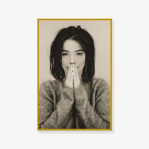 Bjork Poster, Music Poster Print, Singer Poster, Canvas Art Poster