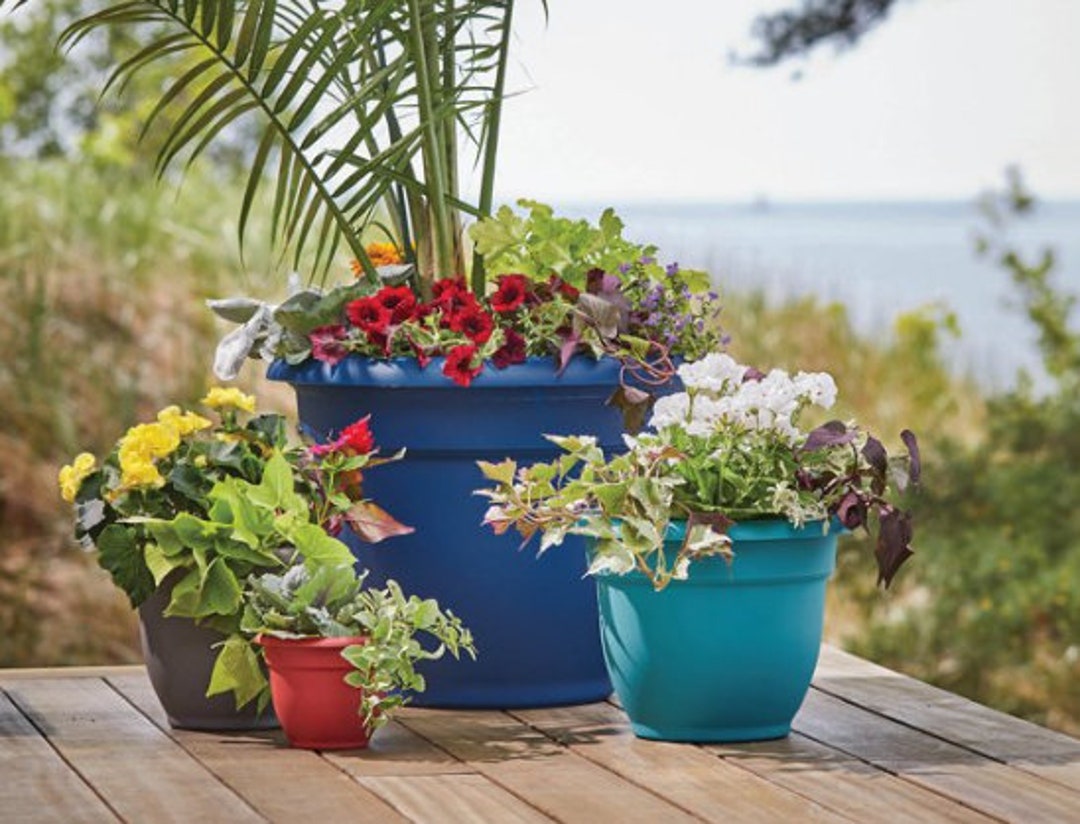 Bloem Ariana Self Watering Planter 6.5 X 5.25 Plastic Round Charcoal ...