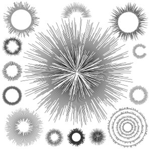 Circle pattern. Circle name frame. Design element EPS, SVG. Template for text. Frame decoration, fashion. Flower, beauty, summer, floral