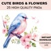 see more listings in the Cute Bird Clipart Bundle section