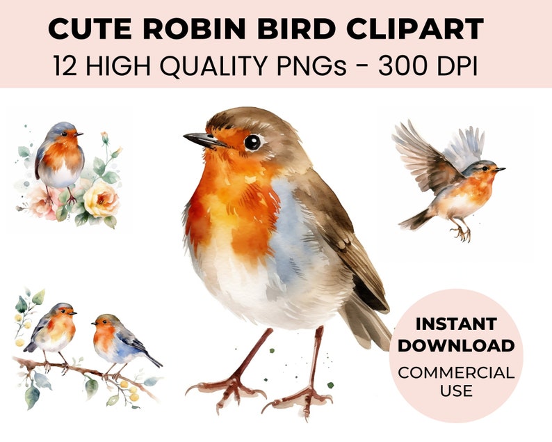 Robin Bird Clipart Bundle 12 Cute Bird Clipart PNGs Watercolor Robin Bird Images Nursery Decor, Ready-to-Use Artwork, Scrapbooking image 1