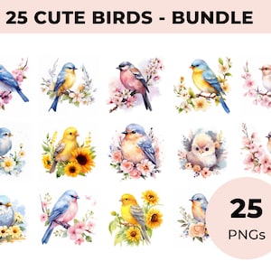 Bundle premium, lot de 25 cliparts oiseau mignon PNG, oiseaux et fleurs, 25 oiseau aquarelle de haute qualité PNG - Clipart oiseaux de printemps