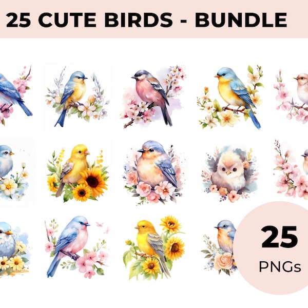 Birds Bundle Premium, Set of 25 Cute Bird Clipart PNG,  Birds and Flowers, 25 high quality Watercolor Bird PNG - Spring Birds Clipart