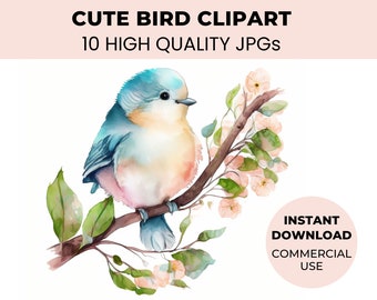 Watercolor Bird Clip Art Bundle: 10 high quality JPG's - Digital Download - Cute Bird Clipart, Cute Bird Nursery, Card Making, Crafts