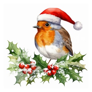 Aquarelle Noël oiseau Clipart, mignon vacances oiseau Art, illustration numérique oiseau, décor de carte de Noël, Clip Art festif