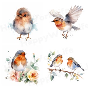 Robin Bird Clipart Bundle 12 Cute Bird Clipart PNGs Watercolor Robin Bird Images Nursery Decor, Ready-to-Use Artwork, Scrapbooking image 4