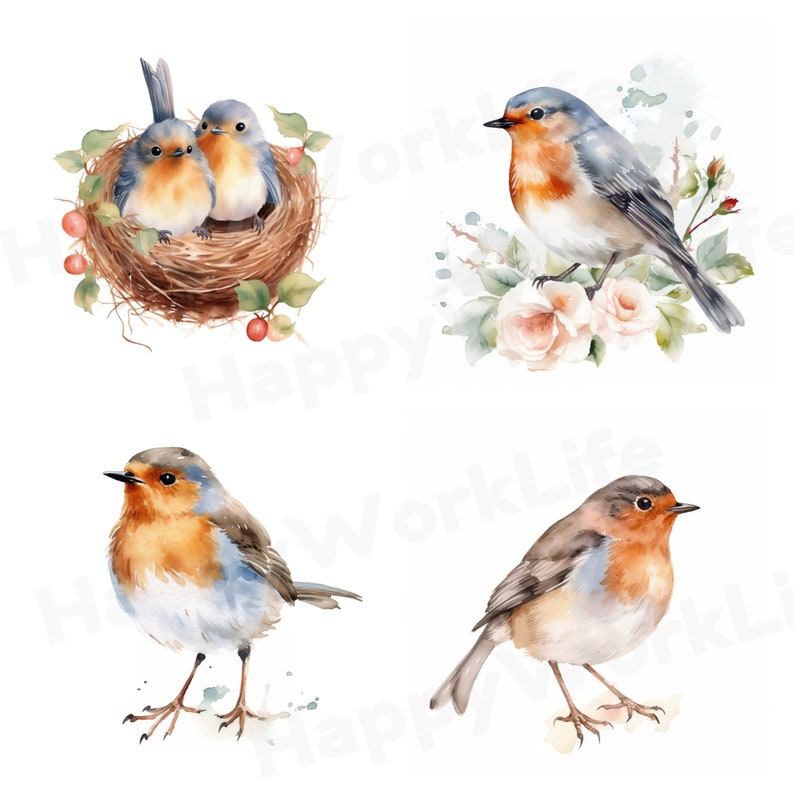 Robin Bird Clipart Bundle 12 Cute Bird Clipart PNGs Watercolor Robin Bird Images Nursery Decor, Ready-to-Use Artwork, Scrapbooking image 3