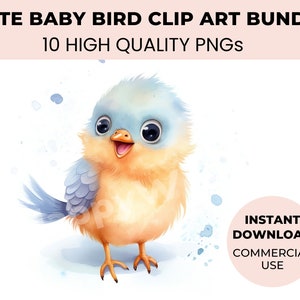 Schattige babyvogel clipartbundel - 10 aquarelvogels en grappige vogels clipart voor creatieve projecten - hoge kwaliteit png - schattige vogelkwekerij