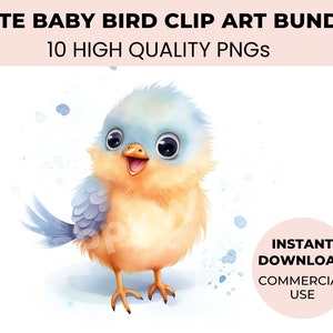 Cute Baby Bird Clipart Bundle - 10 Watercolor Birds & Funny Birds Clipart for creative projects - High Quality PNG - Cute bird nursery